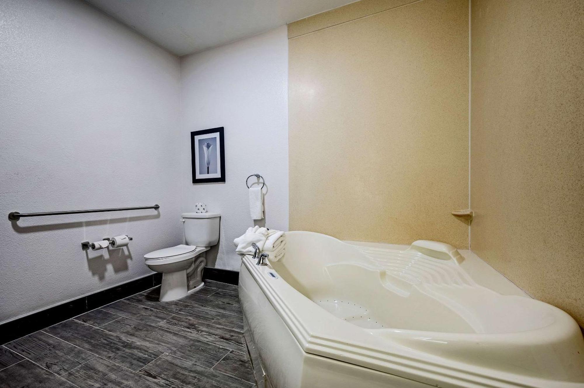 Hotel The Leo Collection Detroit, Ascend Collection Lincoln Park